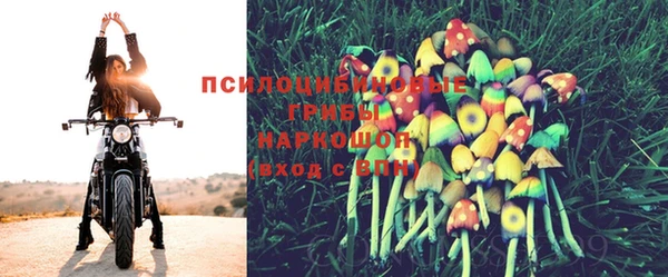 героин Карпинск