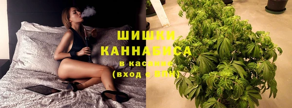 соль ск Алексеевка