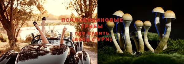mdpv Алексин
