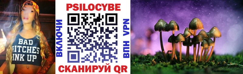 где можно купить   маркетплейс клад  Псилоцибиновые грибы GOLDEN TEACHER  Полысаево 